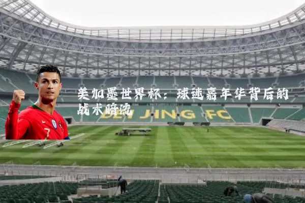美加墨世界杯：球迷嘉年华背后的战术暗流